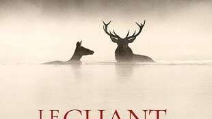 Cinéma : Le chant des forêts