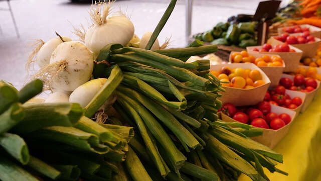 Mickaël Rollet Maraîcher Bio