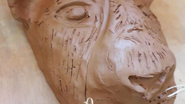 Les ateliers Ô musée - Des lions à modeler