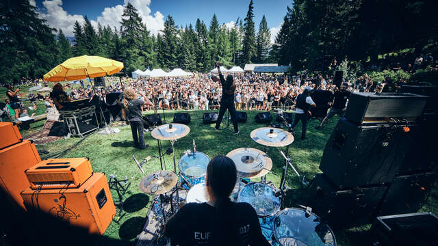 PALP Festival