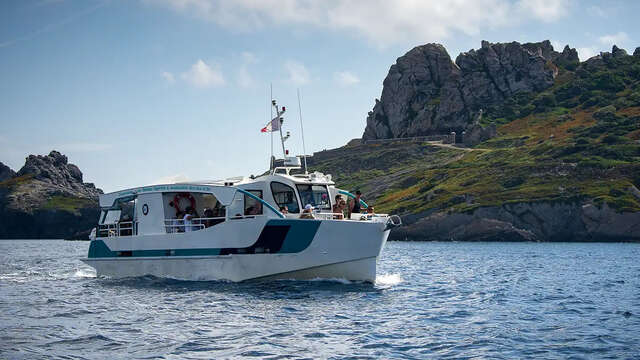 Traversée en bateau Hybride pour Porquerolles