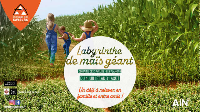 Labyrinthe de maïs