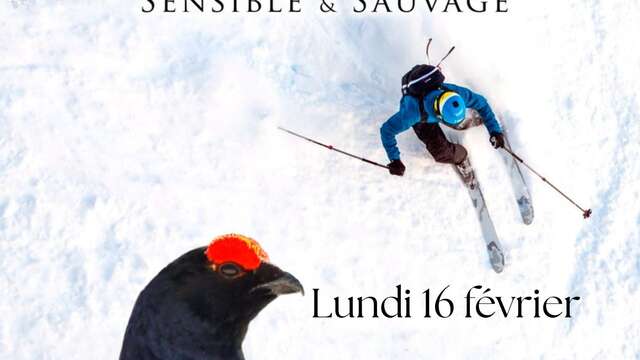 Projection film "Hors-Piste, sensible et sauvage"