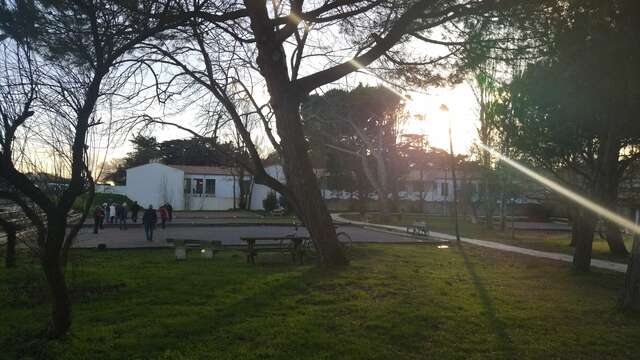 Bois-Plage-en-Ré petanque ground