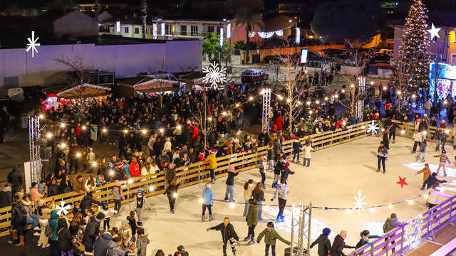 Inauguration of the ice rink