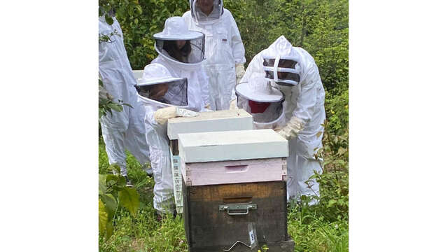 Conférence "Abeilles et Apiculture : Une aventure fascinante"