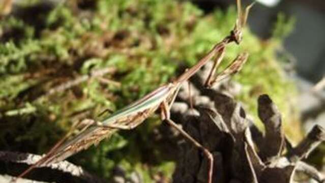 Eco Musée Vivant de Provence