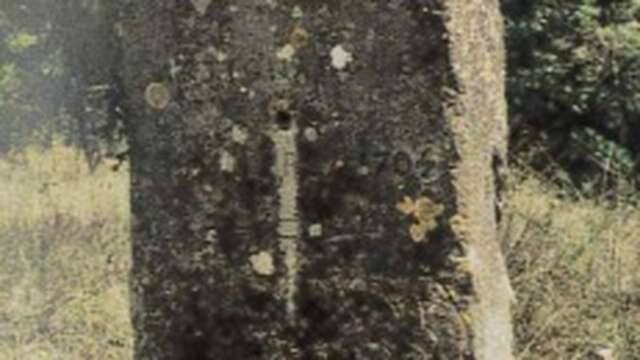 Stèle du Mas Nouguier à Saint Cézaire de Gauzignan