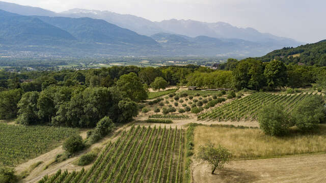 Domaine des Rutissons