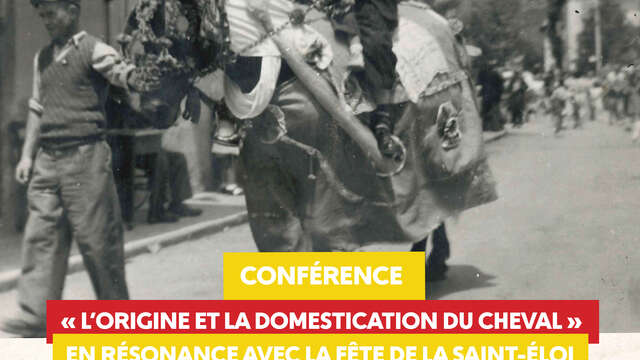 Conférence "L'origine et la domestication du cheval"
