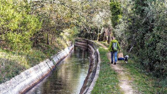Le long du canal de la Siagne - Grasse Ville d'Art et d'Histoire
