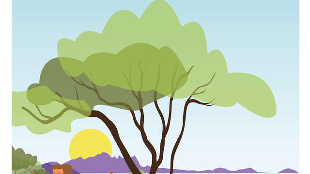 Les activités des lève-tôt