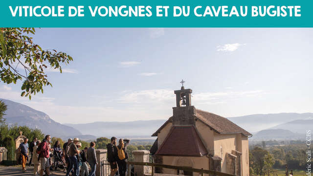 Visite gourmande : découverte du village viticole de Vongnes