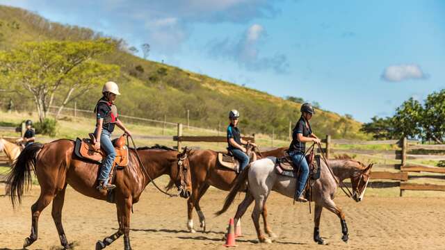 Cours d'équitation western  - Lasbleiz Western Training