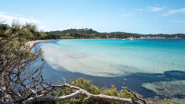Plage de la Courtade