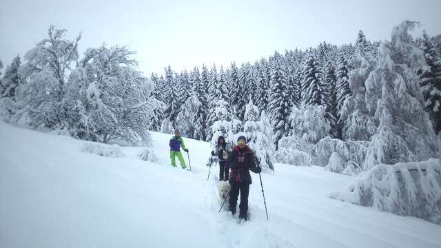 Guided snowshoeing hikes