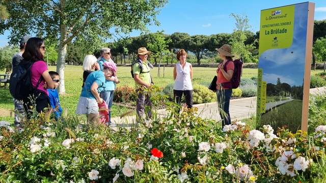 Botanists in the making" guided nature walk