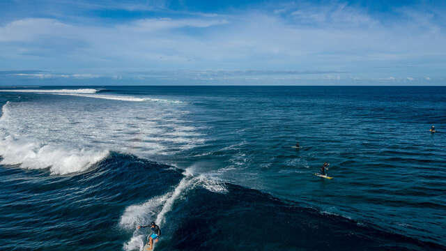 Sorties surf à la journée - Jackaroo Surf Camp