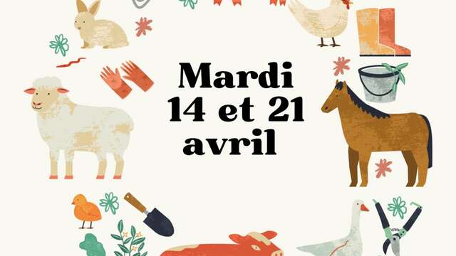 Stable and farm internship