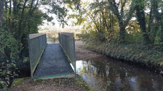 Walk around the confluence of the Reyssouze and Jugnon rivers