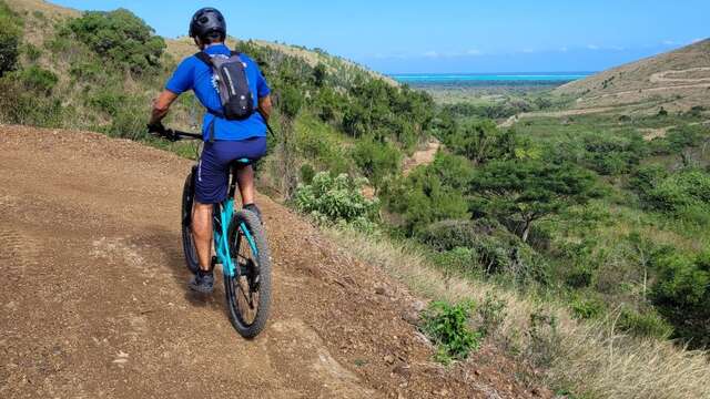 Piste VTT N°14 Descente aménagée rouge “La Pro Line”