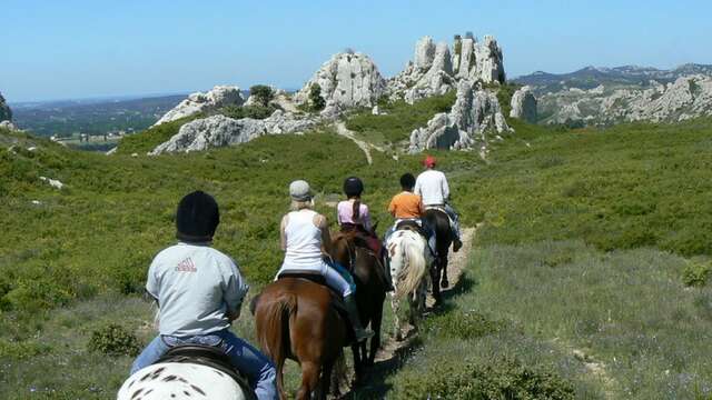 Ecuries Le Petit Roman