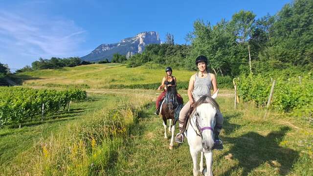 Initiation à la randonnée à cheval et découverte du vignoble savoyard en duo