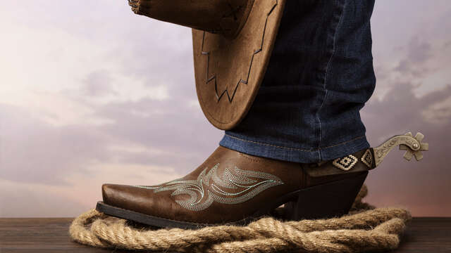 Apprendre la danse en ligne