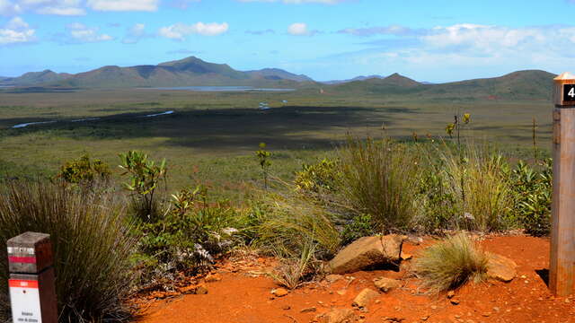 GRNC1 Stage n°2 : from the Neocallitropsis refuge in Netcha