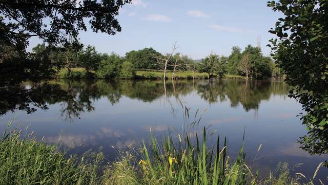 Plans d'eau de la Forêt de Lespinasse