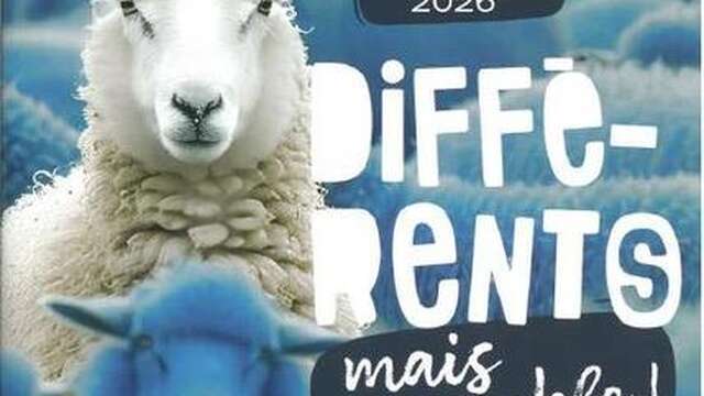 Ateliers créatifs - Différents mais ensemble