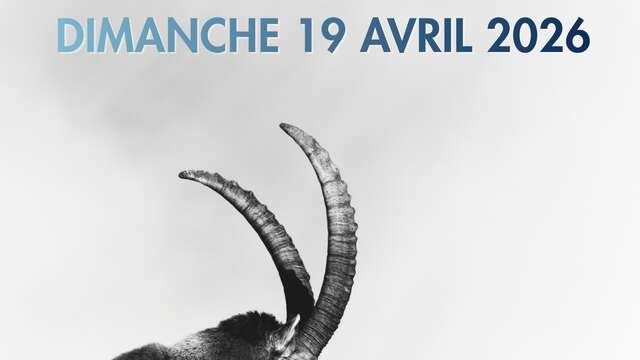 Séances Films Primés - Festival du Film Nature