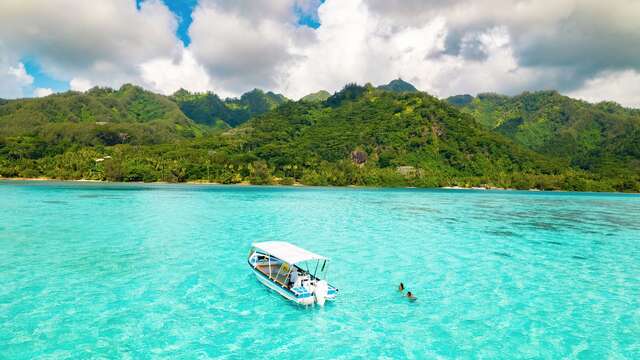Aimeho Private Escapes - Sortie Baleines