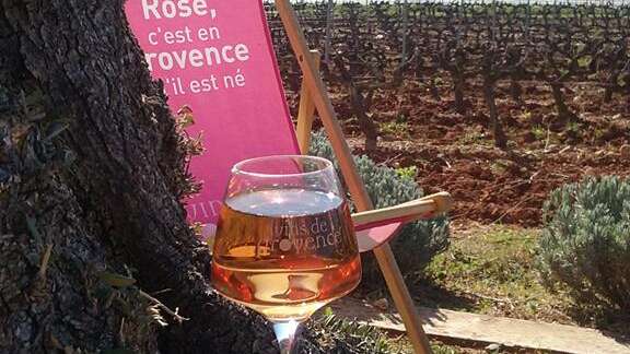 Apéritif Convivial - Château Matheron