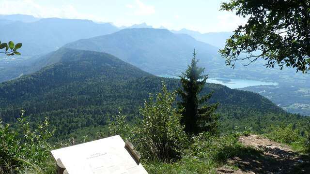 Circuit VTT n°6 - Château Richard