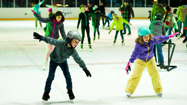 Patinoire du Palladium