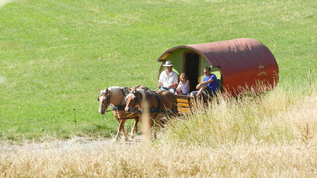 Drôme Roulottes Vacances: Calèches et vacances en roulottes itinérantes.