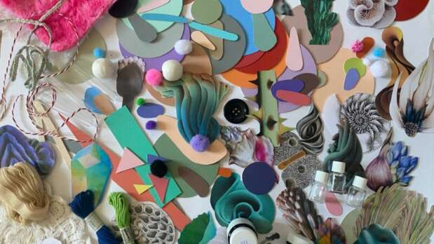 Stages jeune public au musée Angladon : Plantes et senteurs