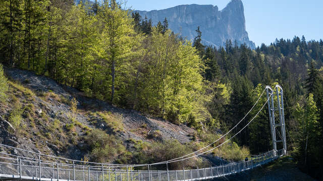 Balade du Plateau d'Assy au Lac Vert par la passerelle du Nant Bordon