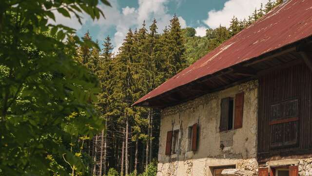 Petite restauration à la ferme du Morbier
