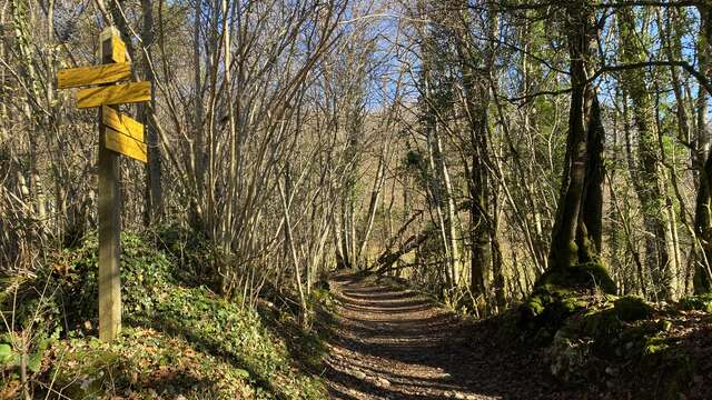 Randonnée l'Ismérusienne
