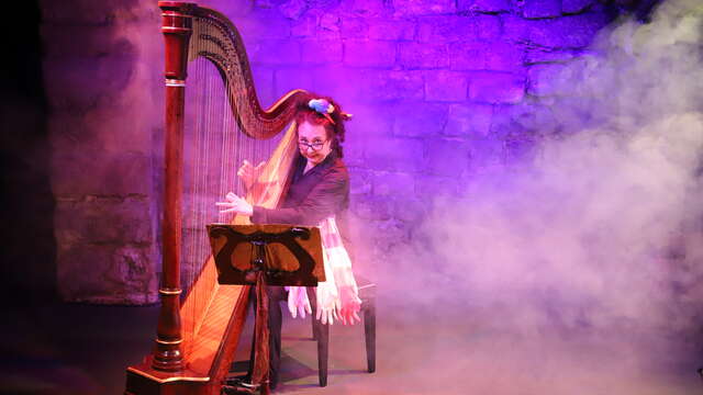 Humour musical - Sophie la harpiste