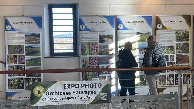 Exposition sur les Orchidées sauvages de la région Provence-Alpes-Côte d’Azur