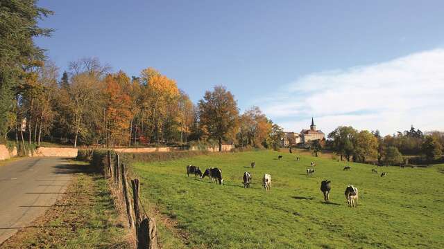 L'excursion montagnarde