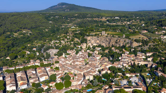 A travers la forêt du Bessillon