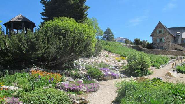 Visite guidée du jardin du Lautaret