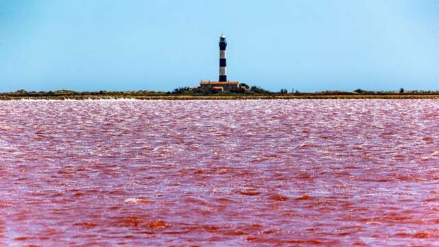 Spaziergang durch die Saline