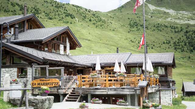 La Marmotte