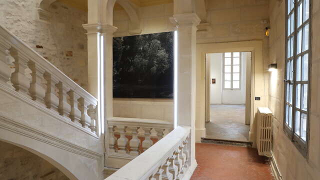 Fondation Rivera - Ortiz