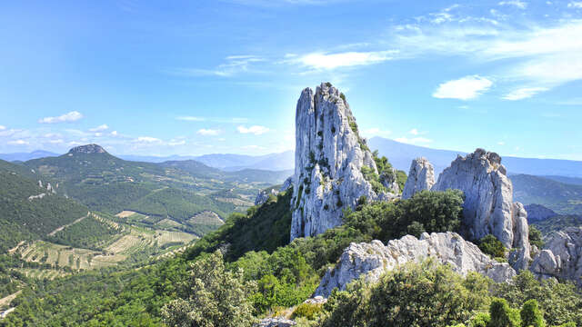 Au coeur des Dentelles de Montmirail